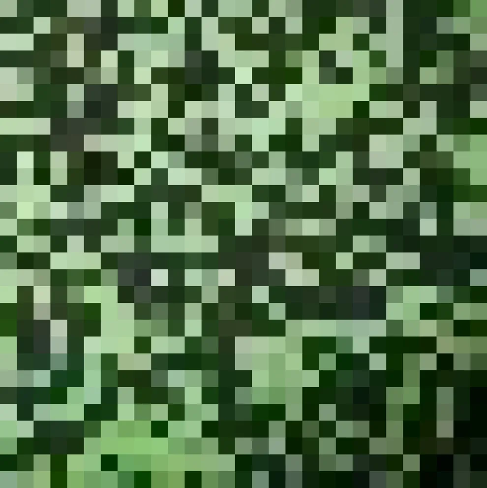 Acid Paisley Jersey Flares