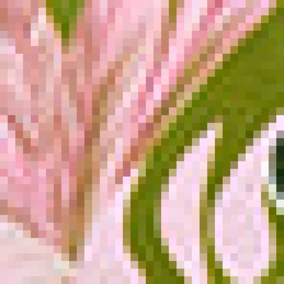 Basically Breezy Sundress