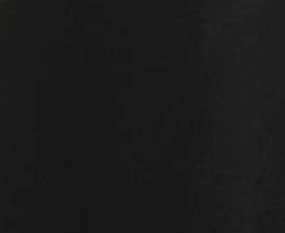 Black White Embroidered Poodle Top