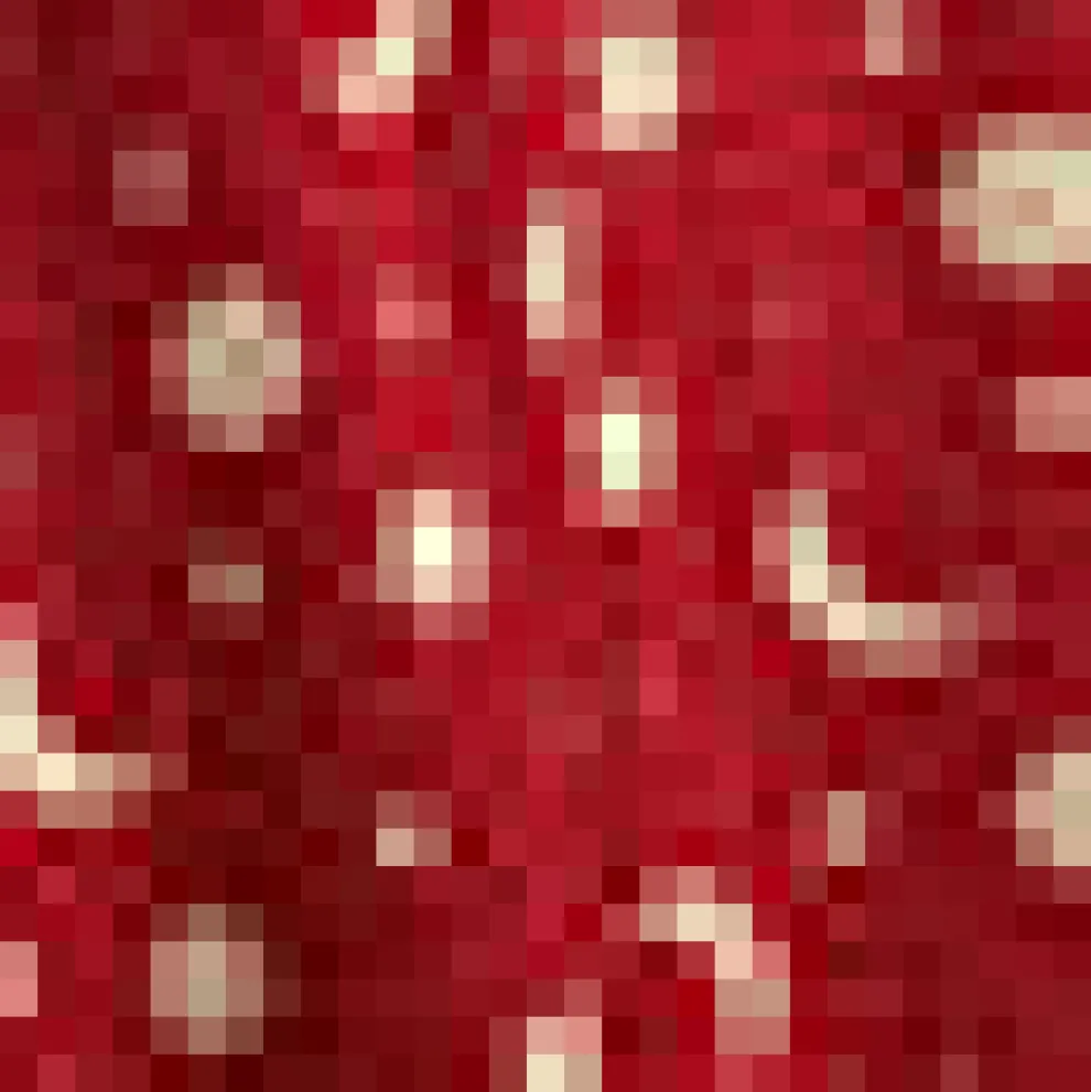 Bookstore's Best Skirt