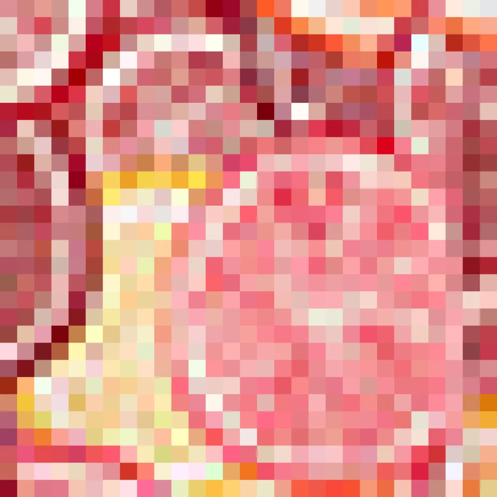 Bookstore's Best Skirt