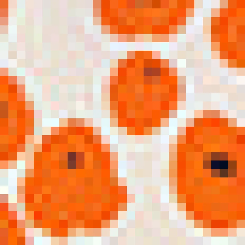 Buttoned & Breezy Blouse