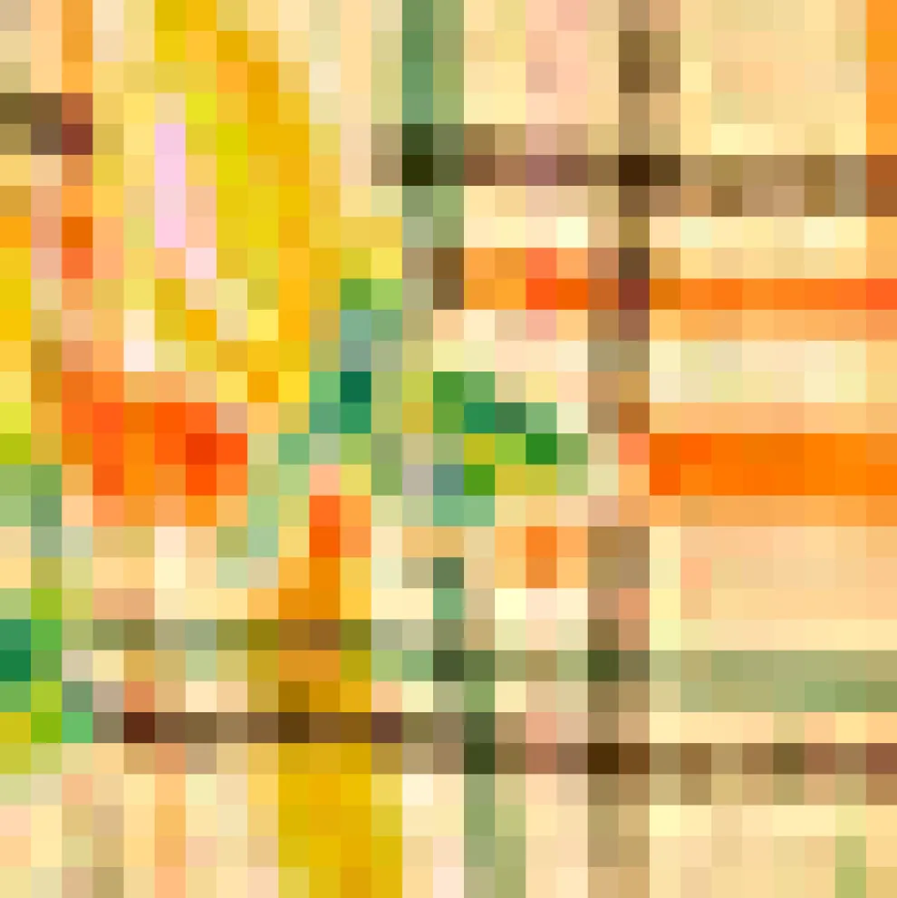 Buttoned Up & Out Romper