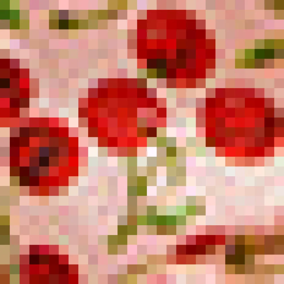 Cherry Sweet Bow Blouse