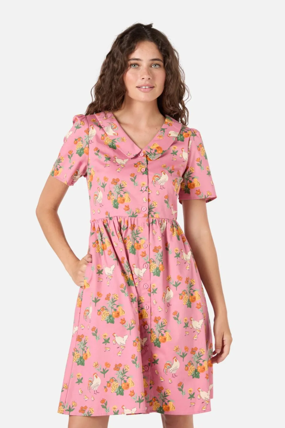Chickens Mini Shirt Dress