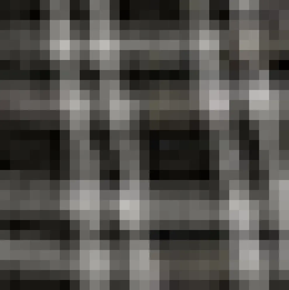 Cider Sipper Pencil Skirt