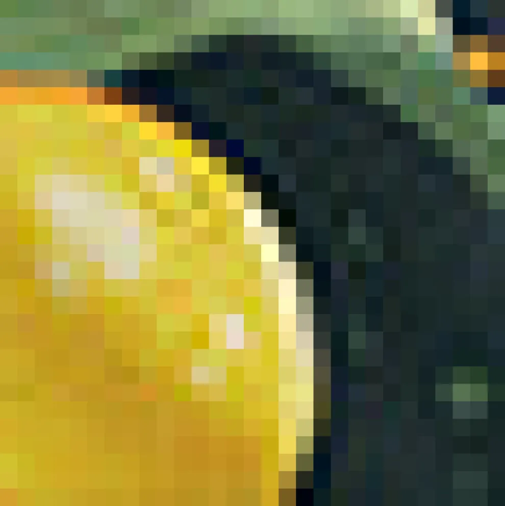 Day Trip Drifters Palazzo Pant