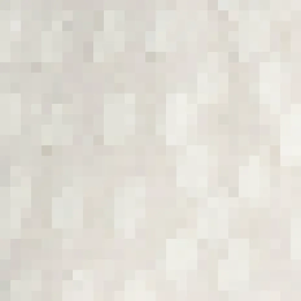 Daydreamer's Delight Button-Up