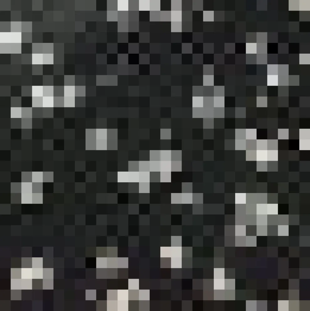 Daydreamer's Delight Button-Up