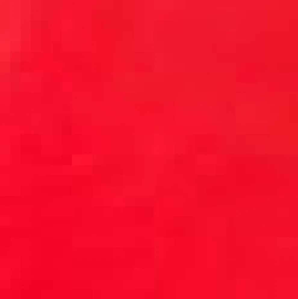 Daytrip Darling Circle Skirt