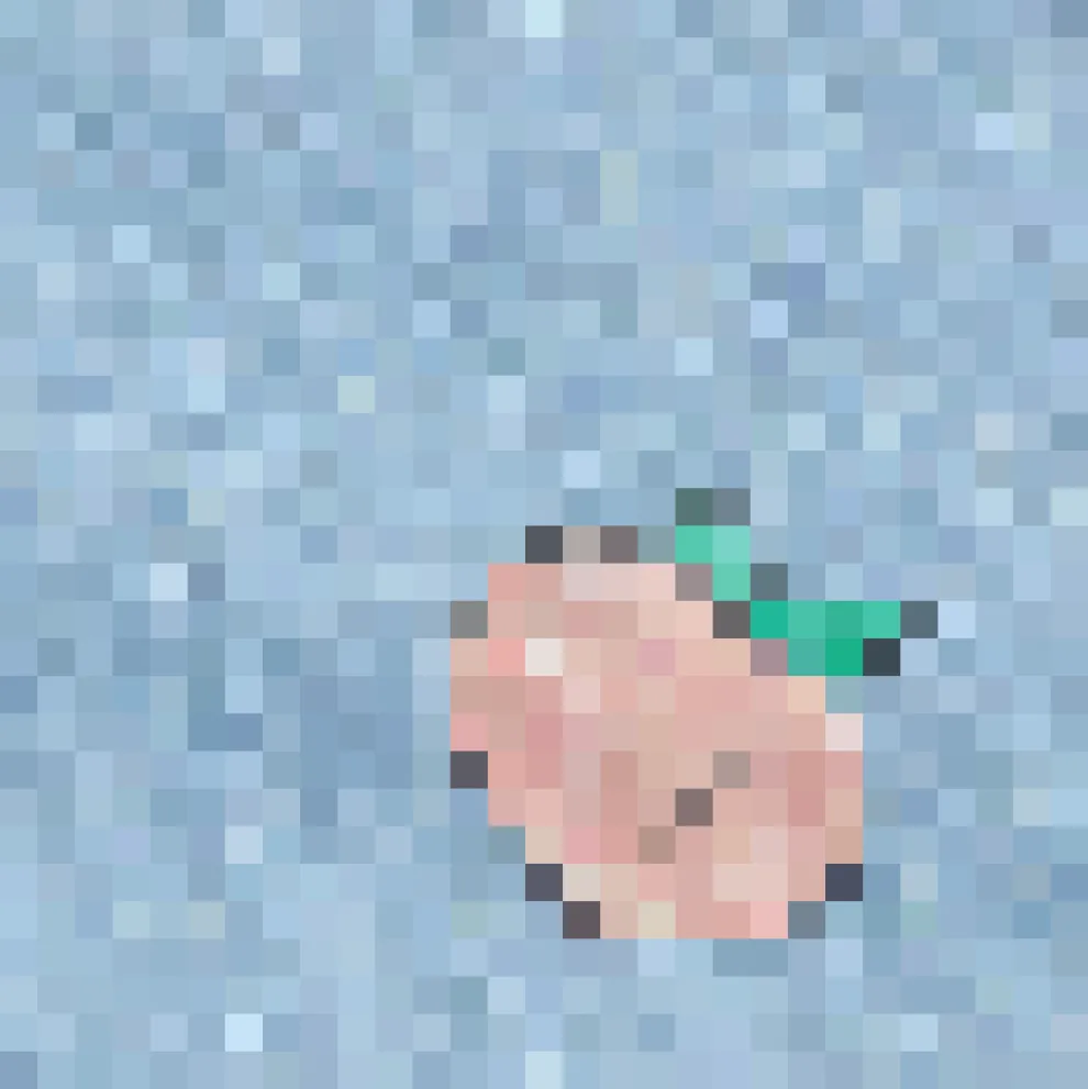 Denim Peach Wide Leg Jeans