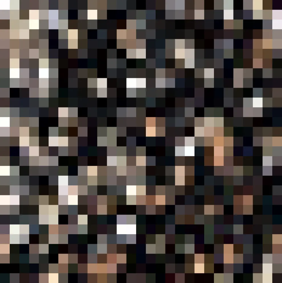 Dressed to Impress Sequin Sweatshirt