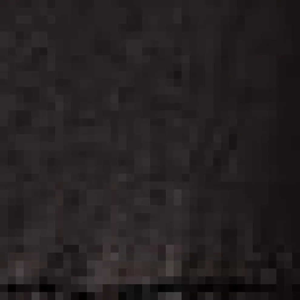 Evening Echo Mini Dress