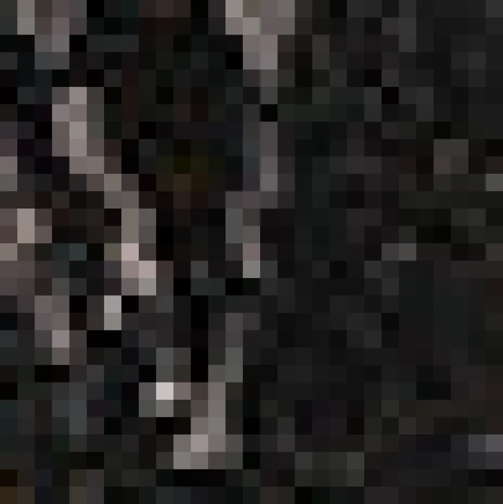 Festive Frolic Bubble Sleeve Crew