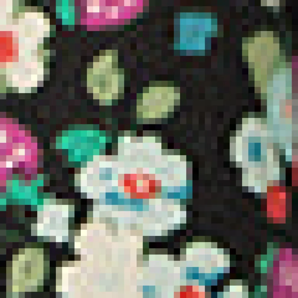 Field of Dreams Maxi Skirt