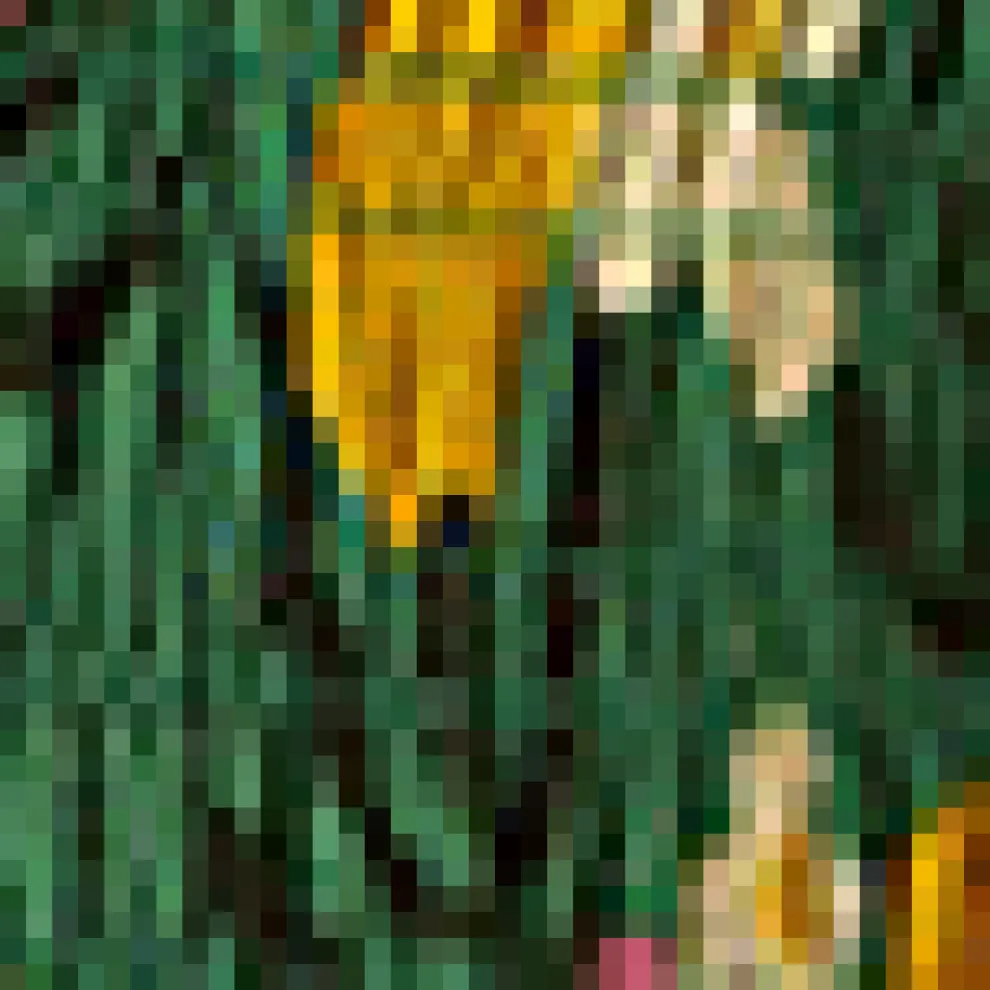 Flair and Square Babydoll Dress