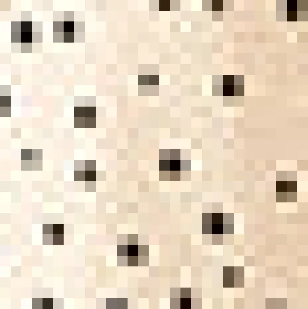 Flounce & Fancy Hi-Low Skirt