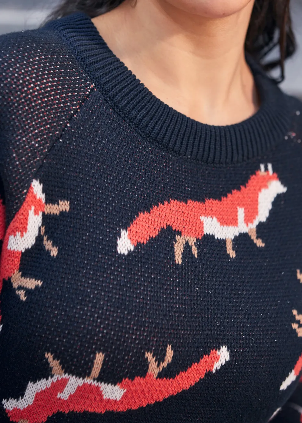 Full of Nostalgia Crewneck Pullover