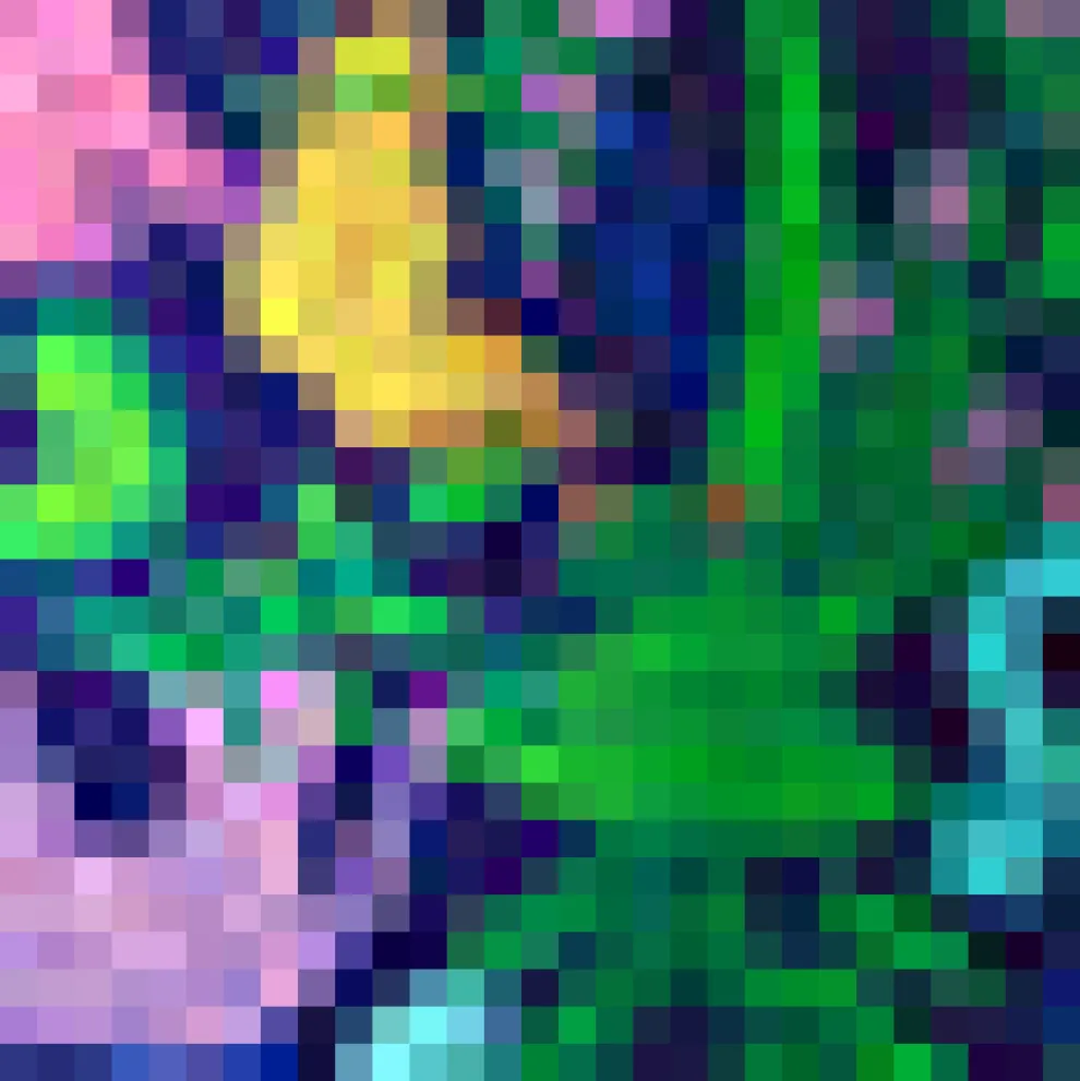 Funky Flare Jumpsuit