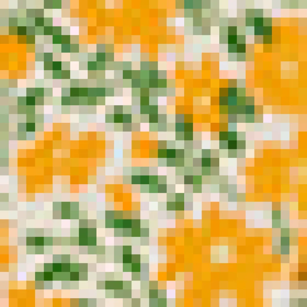 Garden Glamour Sleeveless Shift Dress