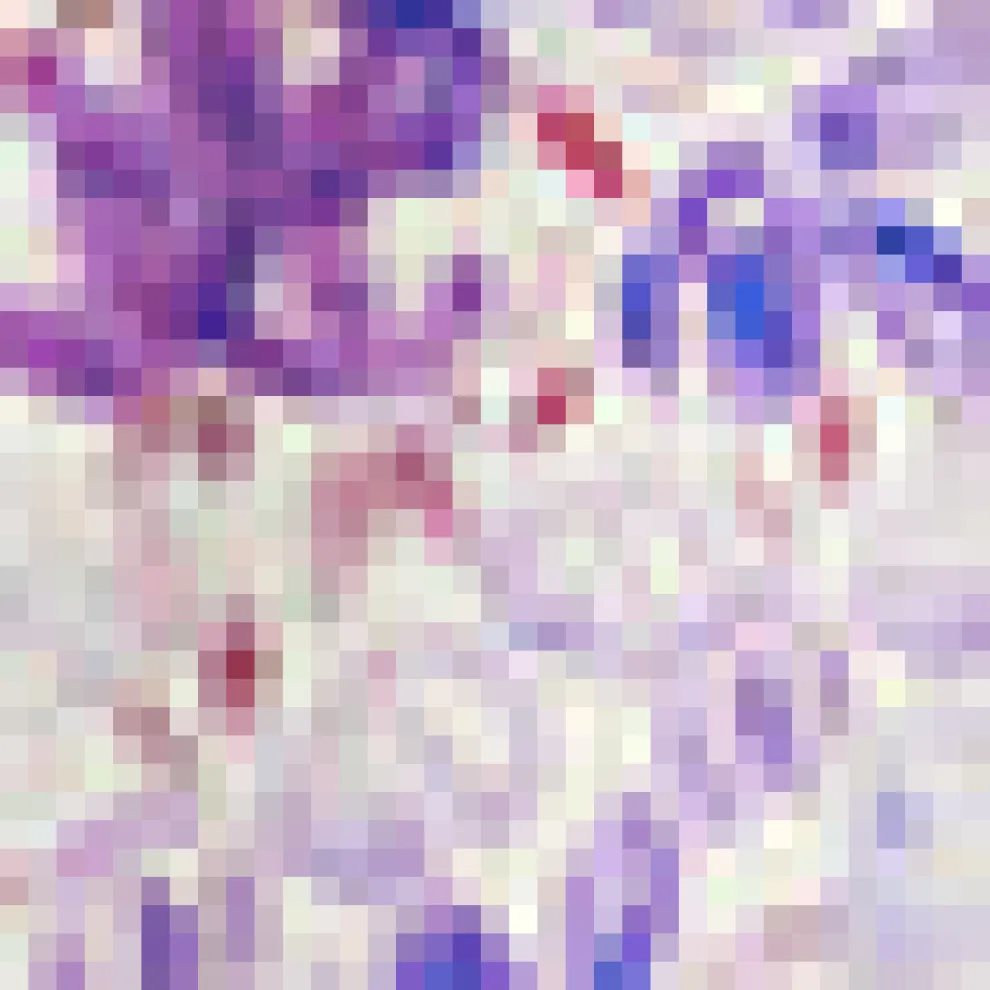 Gathering Wild Flowers Dress