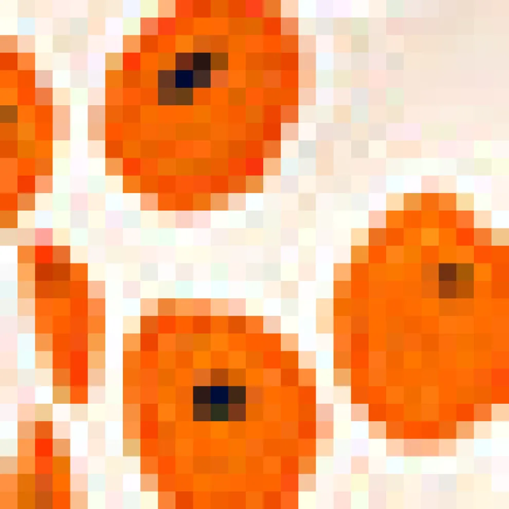 Go For Gored Circle Skirt