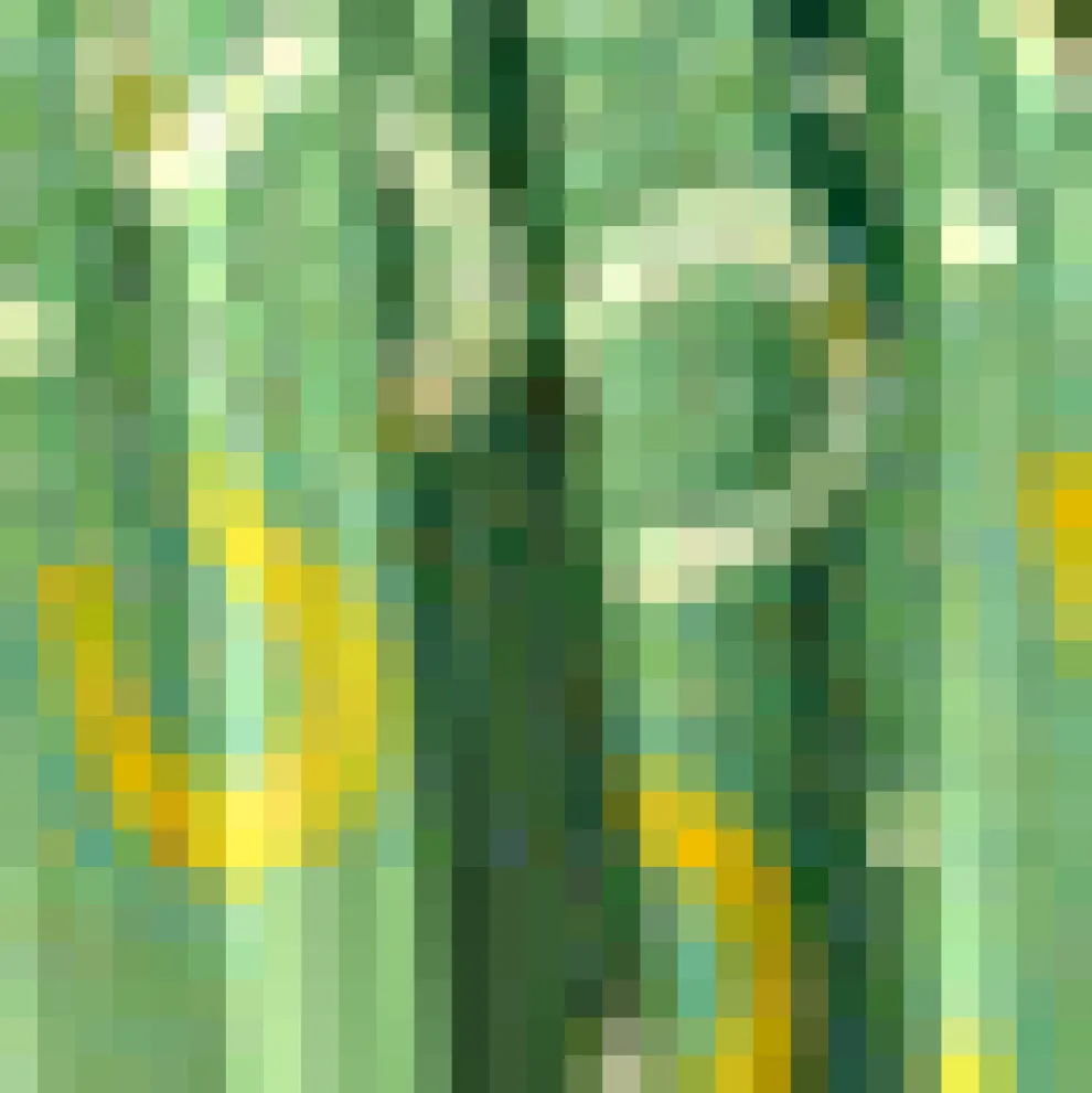 Golden Hour Glide Skirt