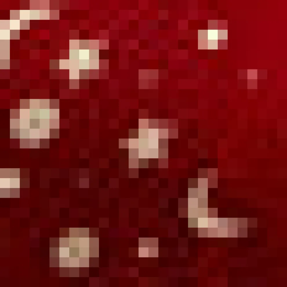 Harvest Moon Melodies Collared Top