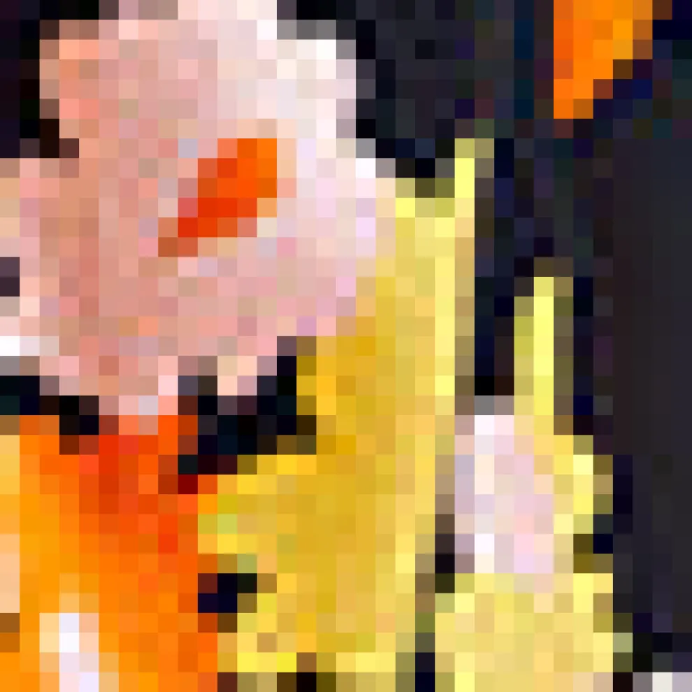 Imagine the Possibilities Skirt