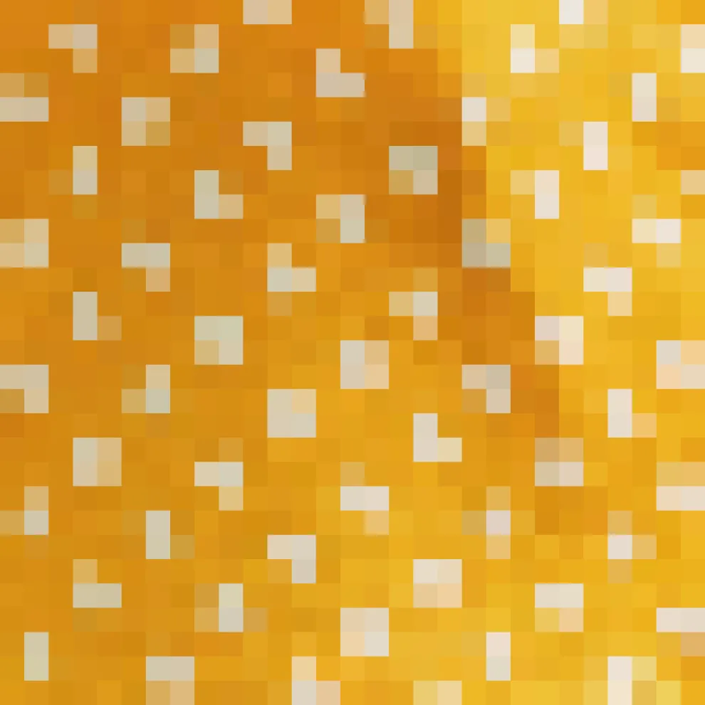 In the Limelight Long Sleeve Top