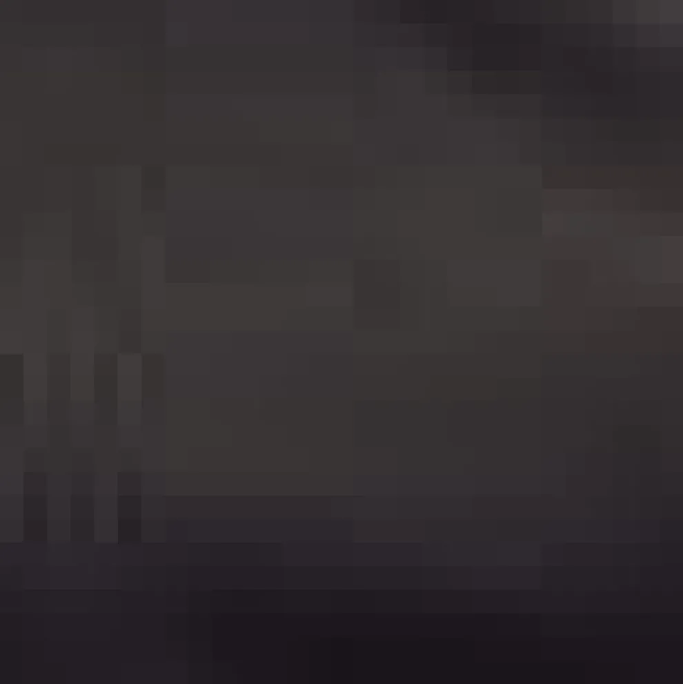 Lace by Day Marilyn Neck Tee