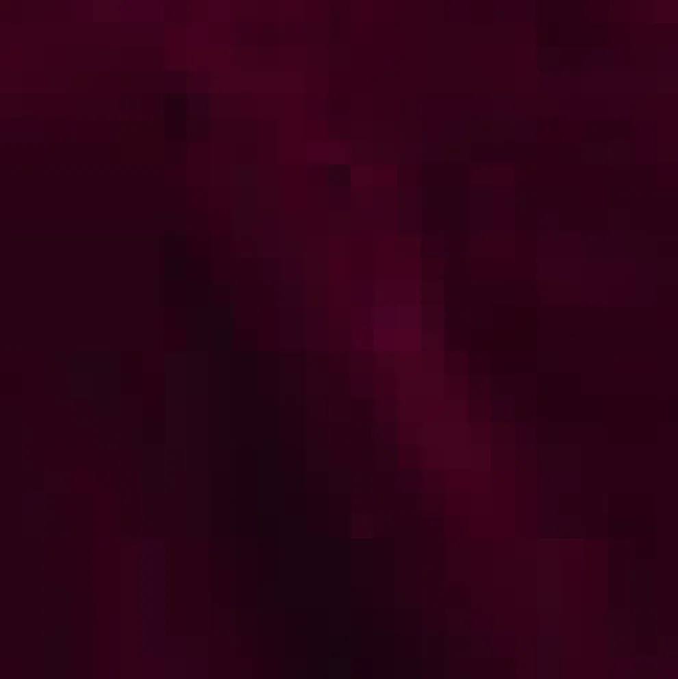 Living It Up Wide Leg Pants