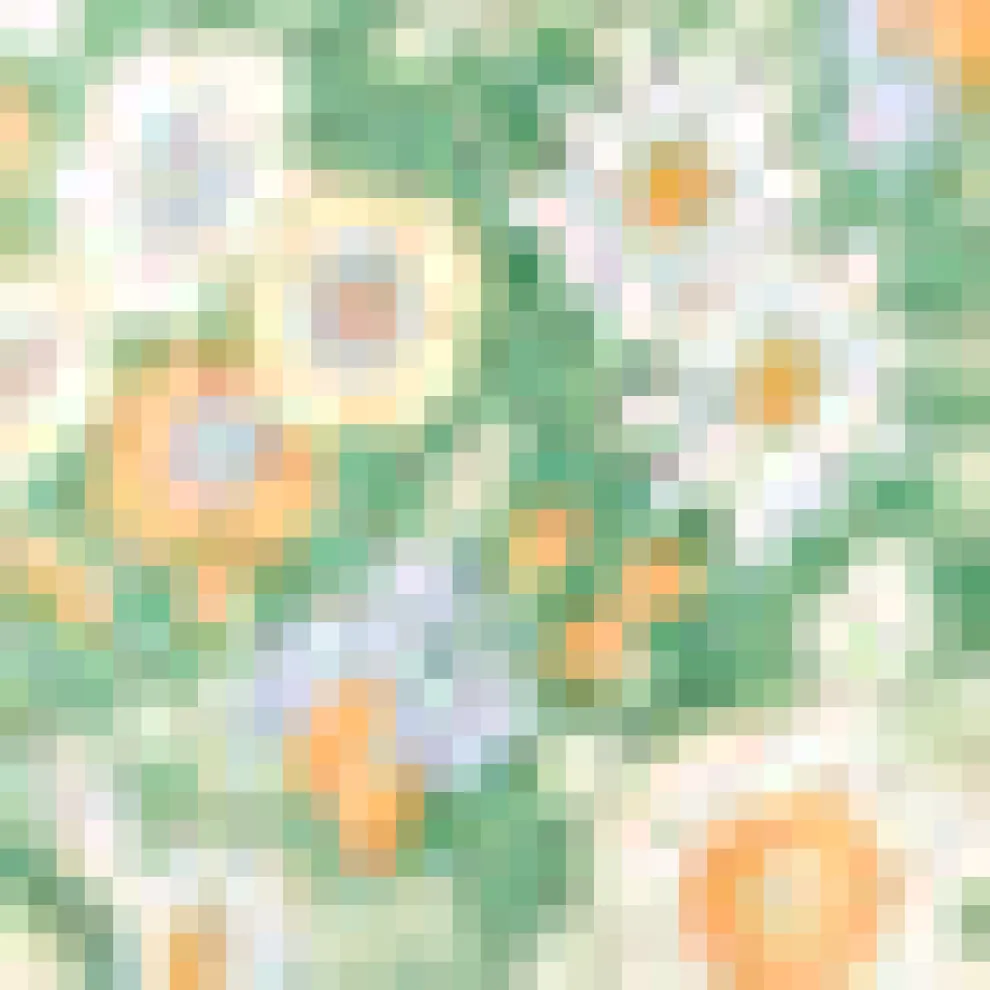 Made For Merriment Button-Up Top