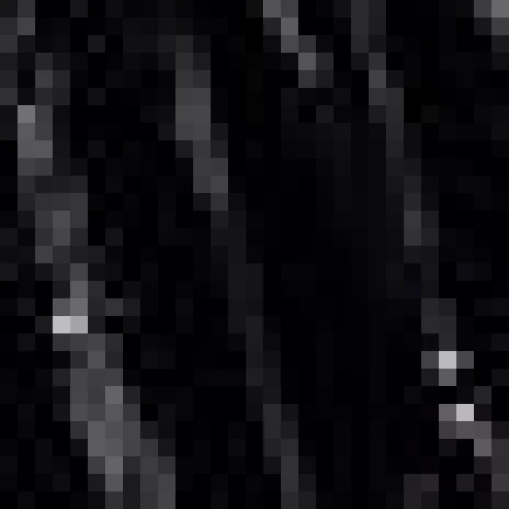 Midnight Muse Dirndl Velvet Skirt