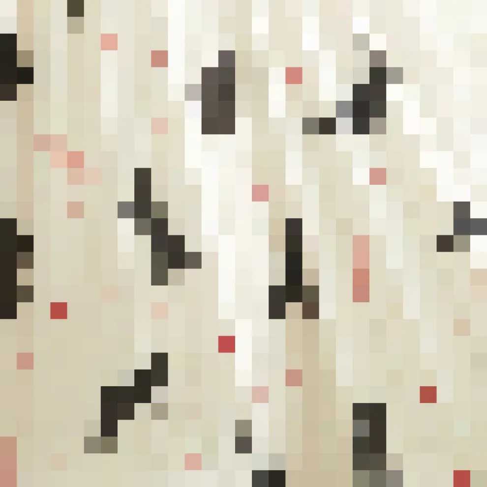 More than Marvelous Button Down Shirt