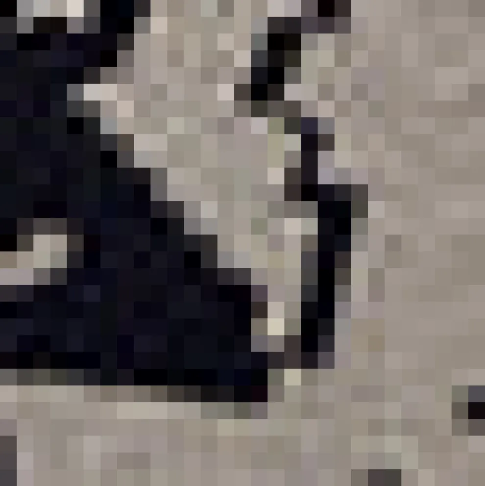 Notes of Nostalgia Crewneck Pullover