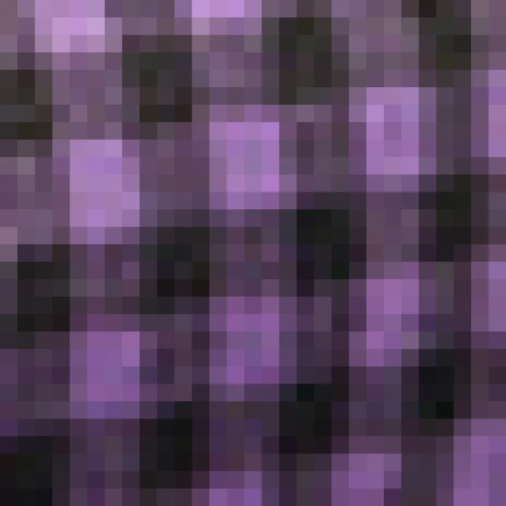 November Nostalgia Flare Dress