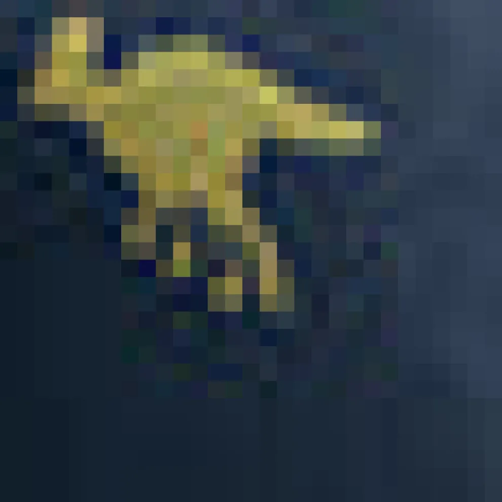 Old Soul Classic Cardigan