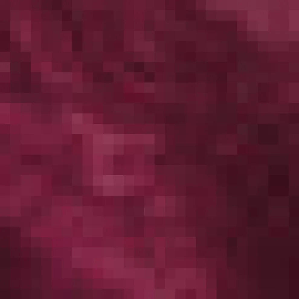 Past Perfections Boatneck Tunic Top