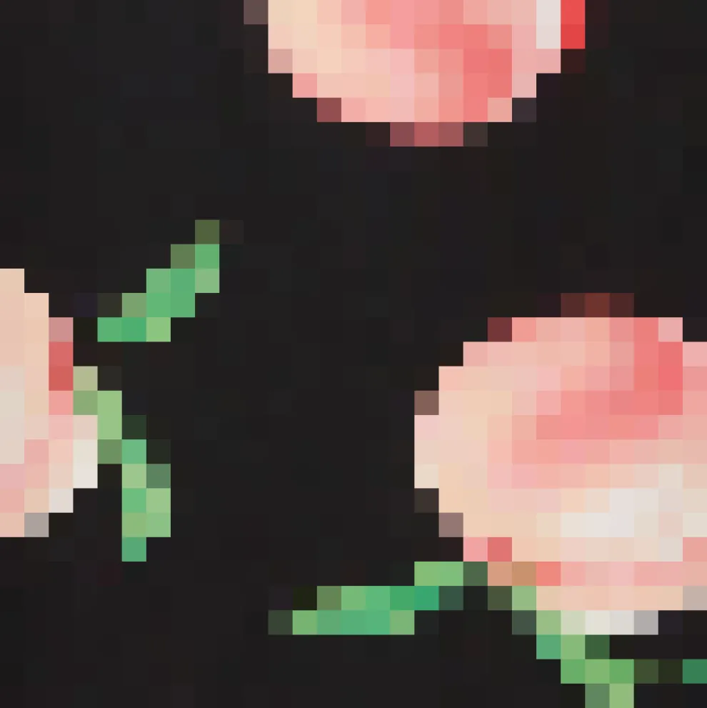 Peachy Viscose Shirt Dress