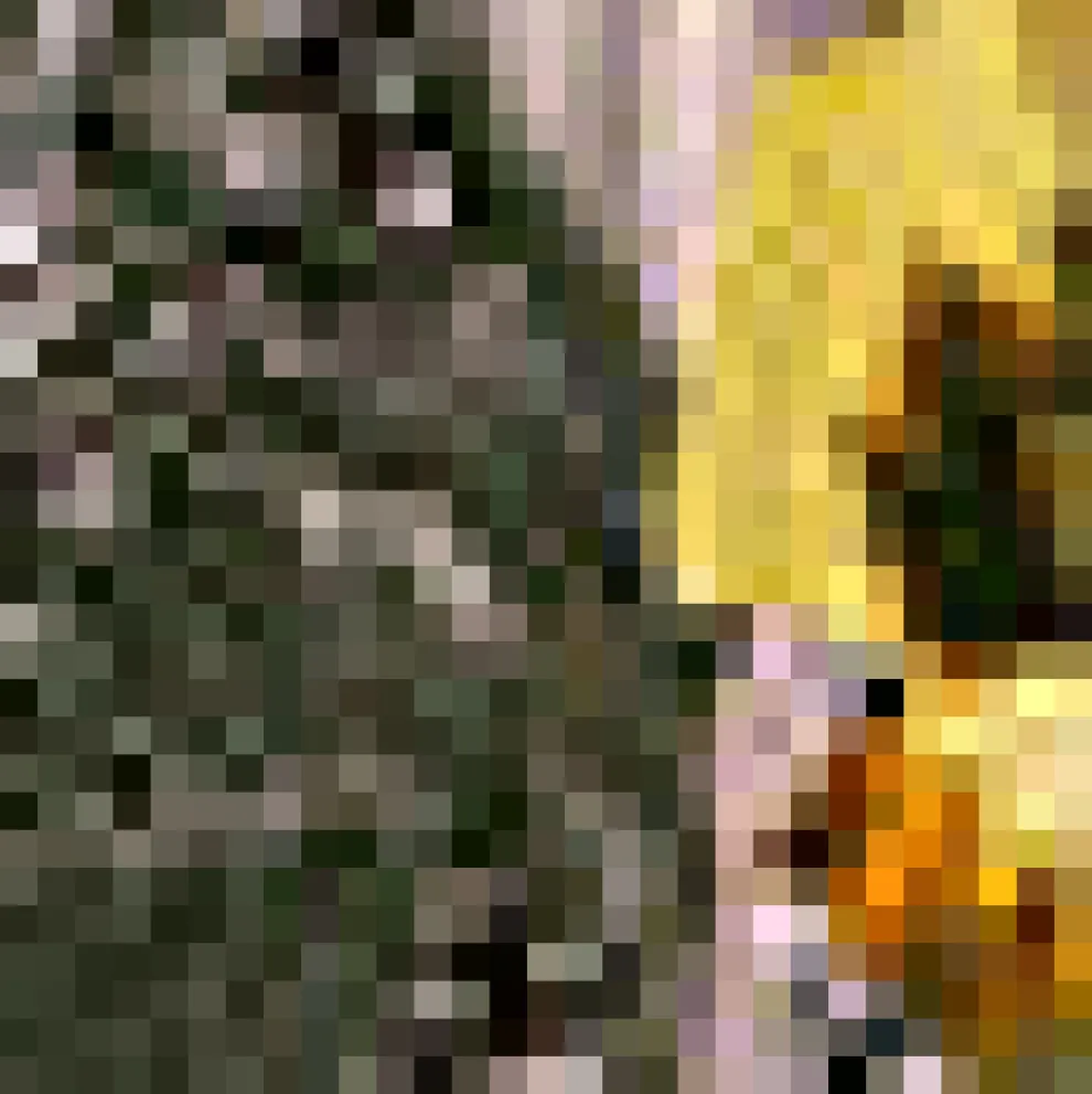 Postcards from Paradise Maxi Dress