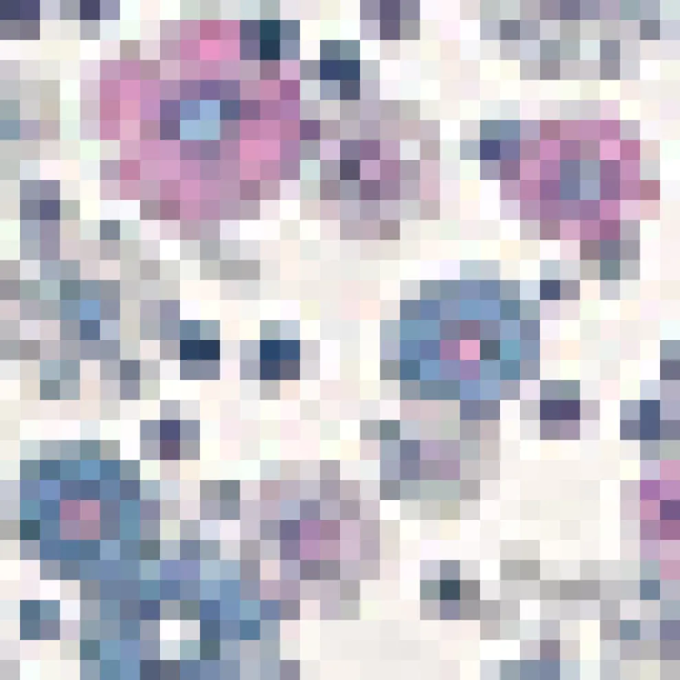 Prairie Doll Mini Dress