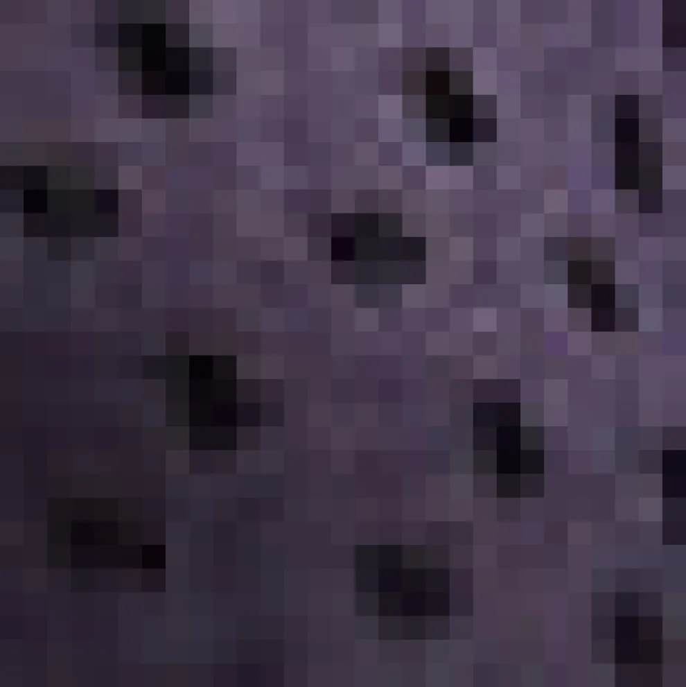 Pretty at the Pumpkin Patch Shirtwaist Dress