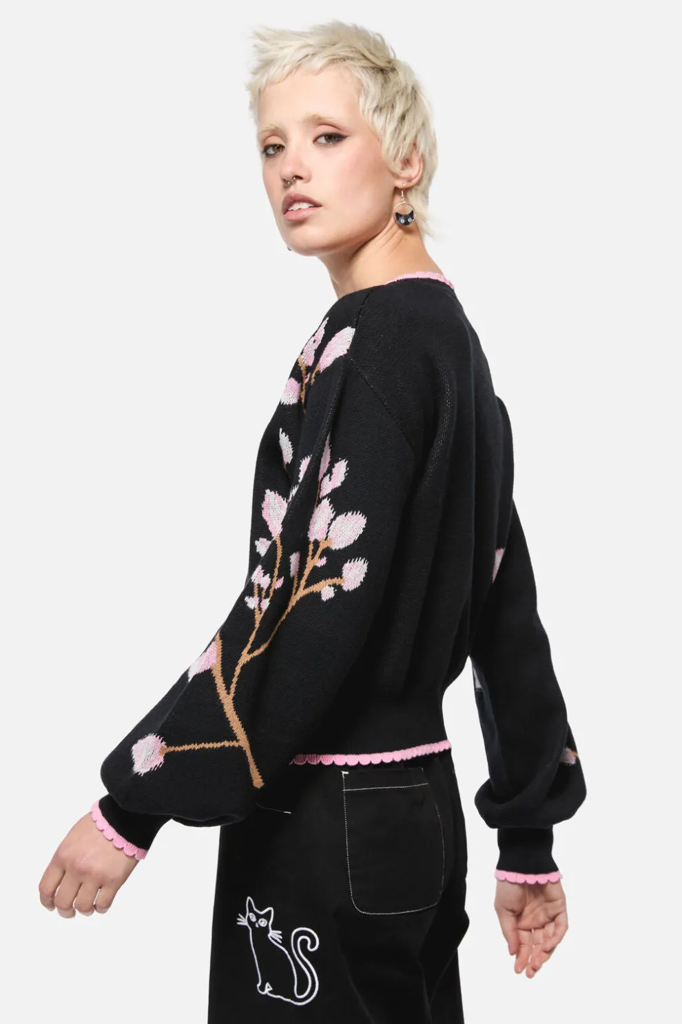 Pussy Willow Border Knit