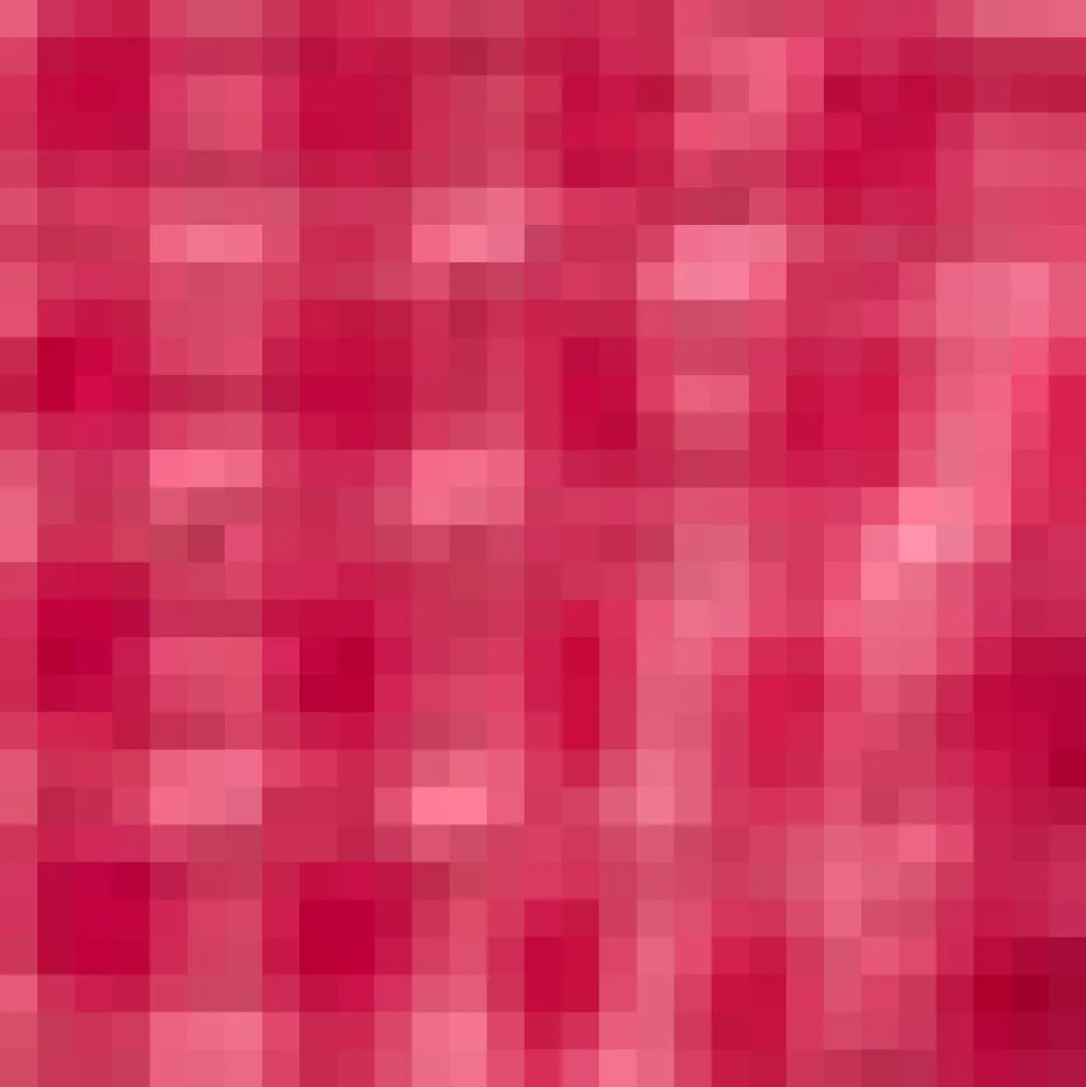 Raspberry Ruffle Blouse