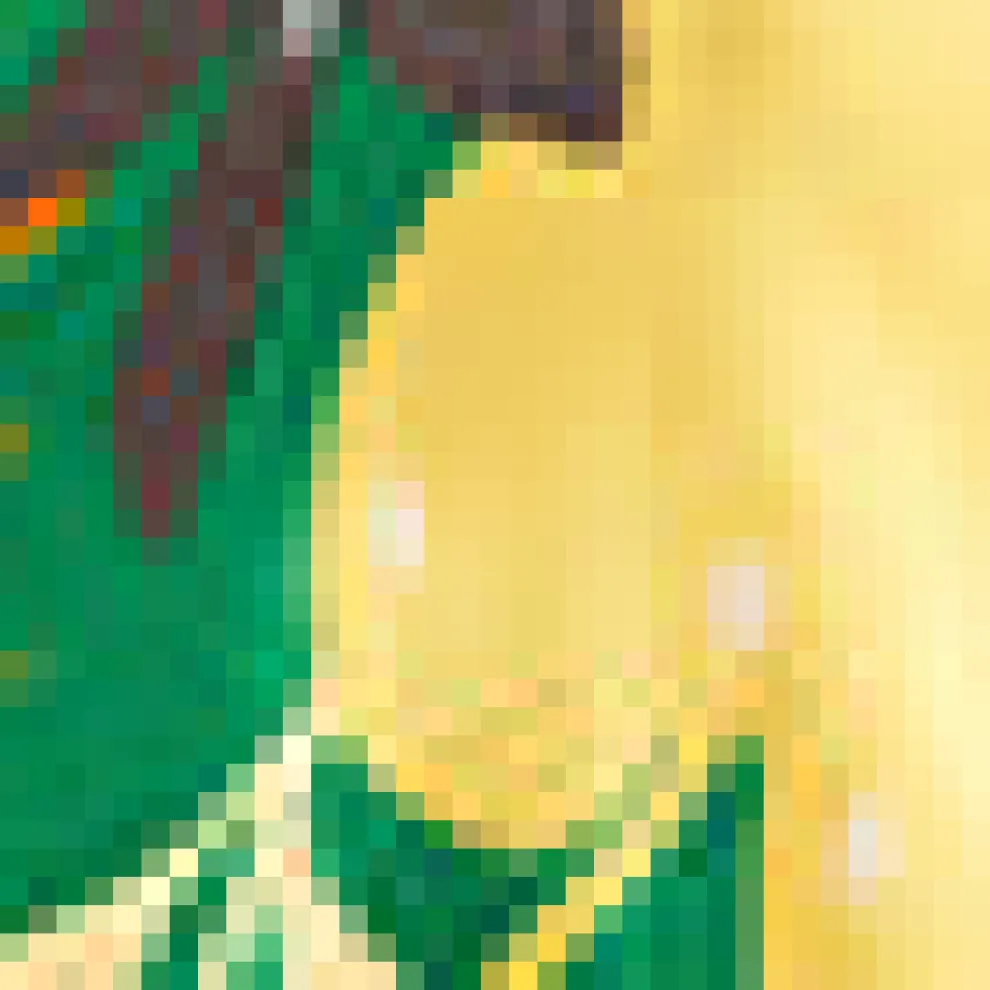 Read It and Steep Romper