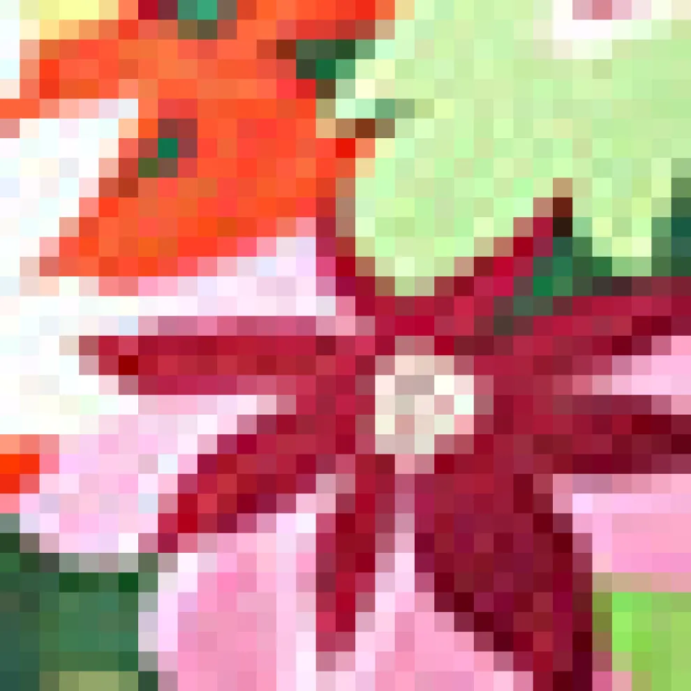 Read It and Steep Romper