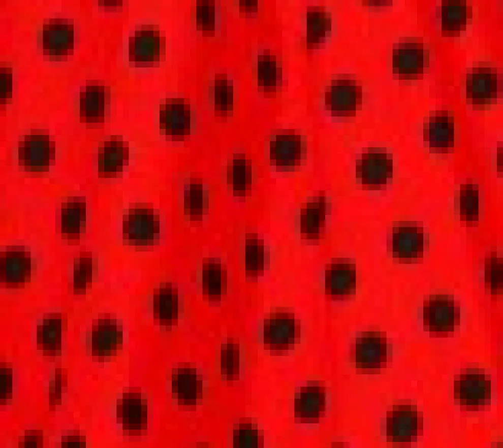 Red & Black Polka Dot Swing Dress