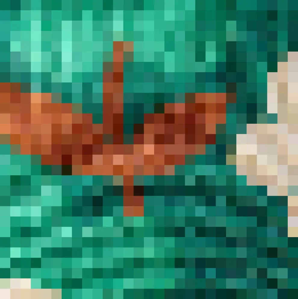 Renee Floral Flare Jean