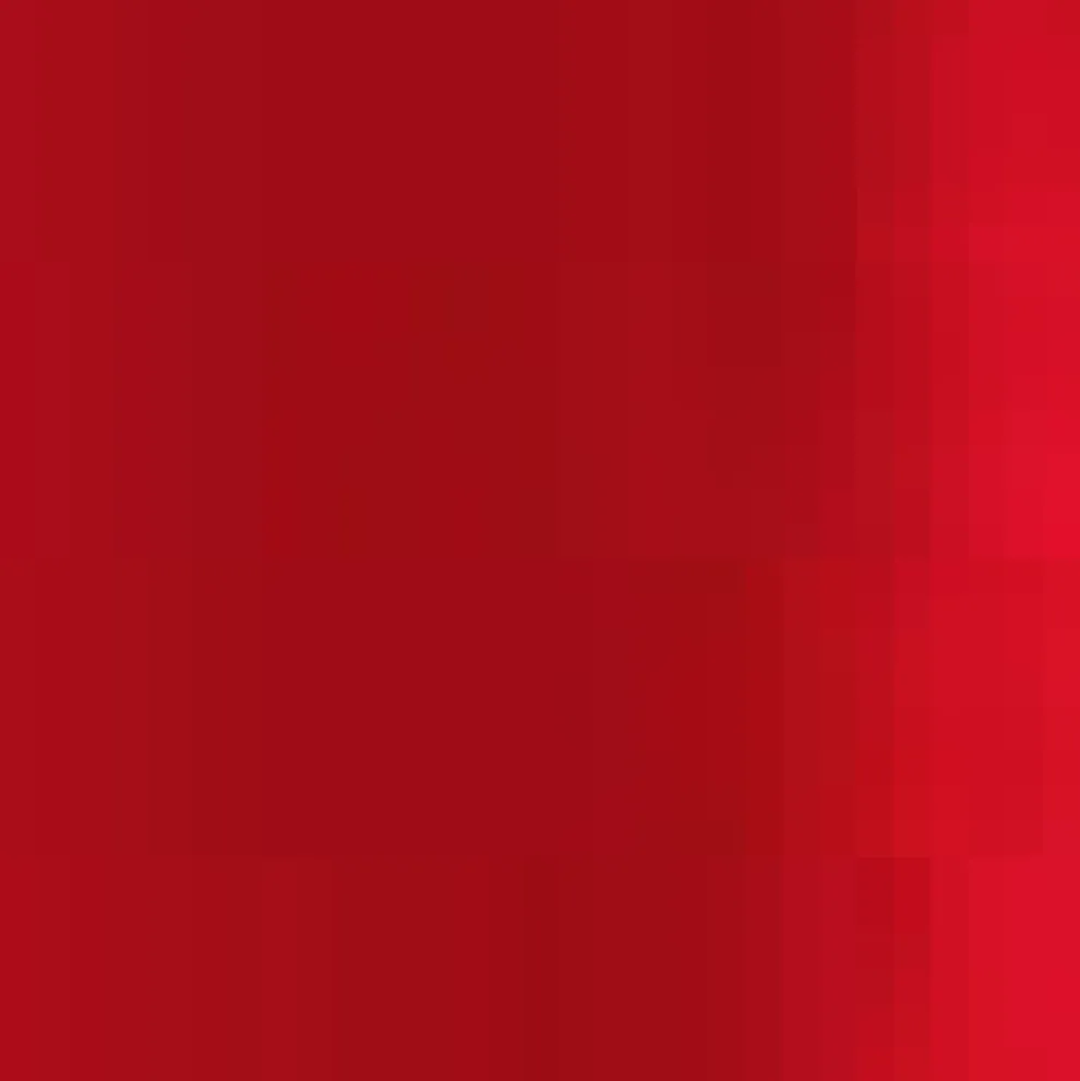 Romantic Rendezvous Skirt